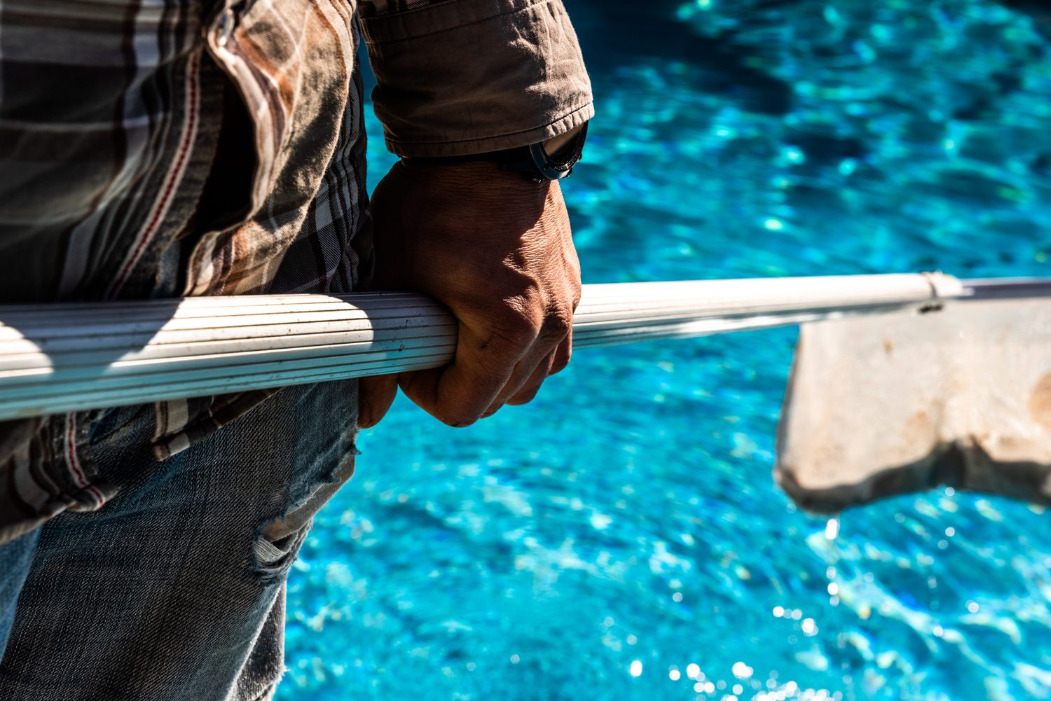 Des professionnels installent une piscine dans un jardin résidentiel.